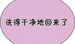 寝取动漫,揭秘寝取中的奇幻冒险与情感纠葛